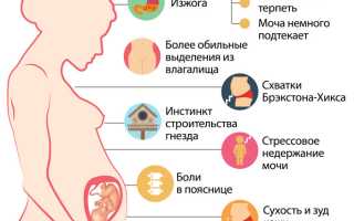 36 неделя беременности: что нужно знать