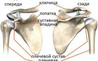 Вывих плечевого сустава (плеча). Причины, симптомы, виды, первая медицинская помощь и реабилитация для пациентов