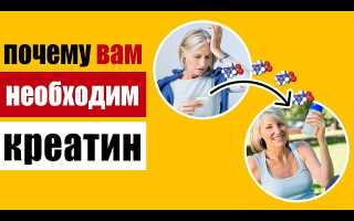 Почему креатин – самое мощное неорганическое соединение: сила мышц и хорошая память для спортсменов