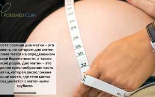 Высота стояния дна матки во время беременности и после родов: важные аспекты и рекомендации