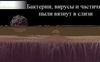 Как избавиться от слизи в горле? 12 эффективных способов, которыми можно пользоваться дома для здоровья