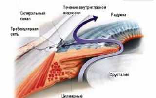 Иридоциклит (передний увеит). Симптомы, причины, диагностика и лечение заболевания у пациентов