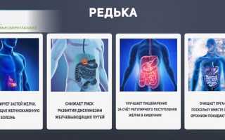 Редька – овощ, исцеляющий все органы. Почему чёрная редька полезнее, чем зелёная и белая. Как правильно готовить и употреблять корнеплод для здоровья.