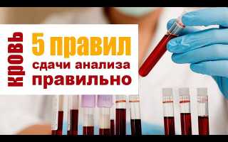 Сдаем биохимический анализ без ошибок. 5 правил подготовки к сдаче крови для точных результатов