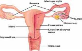 Сальпингит (воспаление маточных труб). Причины, симптомы и признаки, диагностика и лечение болезни, а также профилактика