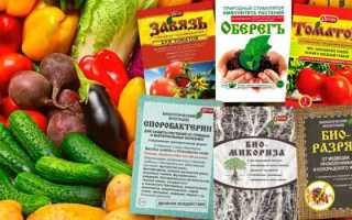 Чем полить чеснок весной – народные средства для хорошего урожая