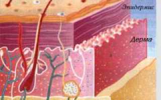 Микроспория. Причины, симптомы, признаки, диагностика и лечение патологии у людей
