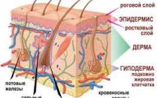 Пролежни. Причины, симптомы, признаки, диагностика и лечение патологии у пациентов