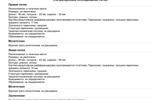 Узи почки расшифровка норма