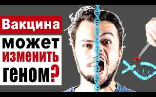 Может ли вакцина или вирус встроиться в геном человека и навредить ему в будущем?