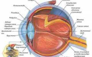 Открытоугольная первичная глаукома: причины, симптомы, диагностика, лечение и профилактика заболевания для здоровья глаз