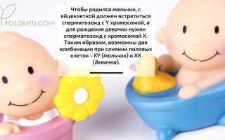 Планирование пола ребенка: советы и методы для успешного зачатия