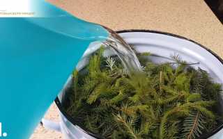 Хвойные и солевые ванны при артрите – восстановление суставов в домашних условиях для здоровья