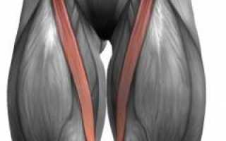 Болит бедро. Причины, виды болей, патологии, вызывающие болезненность и их диагностика, а также рекомендации