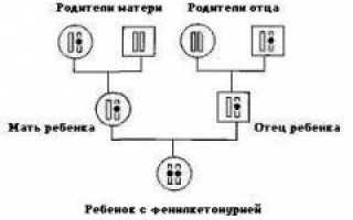 Фенилкетонурия (ФКУ) — причины, симптомы, диагностика и лечение фенилкетонурии: диета и питание для здоровья