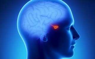 Анализ крови на пролактин. Норма, причины повышения и снижения уровня гормона. Как подготовиться к тесту и интерпретировать результаты?