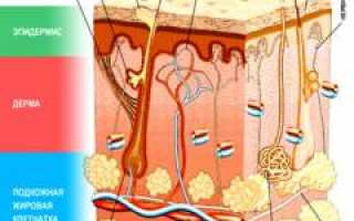 Стрептодермия. Причины, симптомы, диагностика и лечение патологии у детей