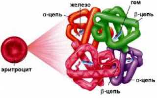 Серповидноклеточная анемия – причины, симптомы, лечение и профилактика