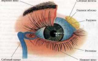 Круги под глазами. Причины появления кругов под глазами. Как избавиться от кругов под глазами? Полезные советы и рекомендации.