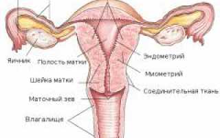 Воспаление яичников (оофорит). Причины, симптомы и признаки, диагностика и лечение болезни у женщин