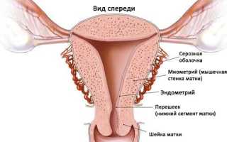 Биопсия эндометрия матки. Показания, противопоказания, методика. Как подготовиться к биопсии и что делать после нее? Полное руководство.