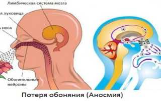 Как вылечить отсутствие обоняния синупретом, цинком, пиносолом? Полезные советы и рекомендации