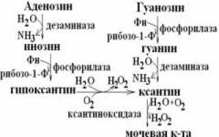 Подагра — причины, симптомы и признаки, диагностика и лечение патологии для здоровья