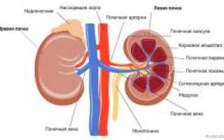 Нефротический синдром. Причины, симптомы, признаки, диагностика и лечение патологии у пациентов