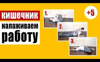 Упражнения для кишечника, от вздутия и запоров – усиление перистальтики для здоровья
