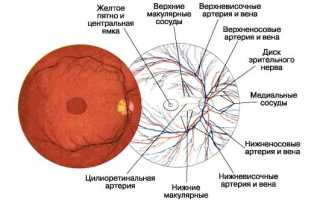 Как лечить ангиопатию сетчатки глаза: советы и рекомендации