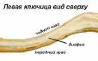 Перелом ключицы. Причины, симптомы, виды, первая медицинская помощь и реабилитация для пациентов