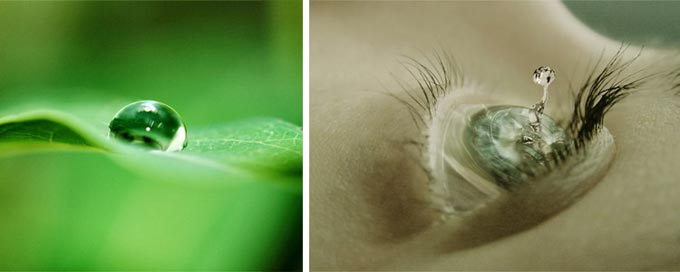 народные средства лечения глаукомы