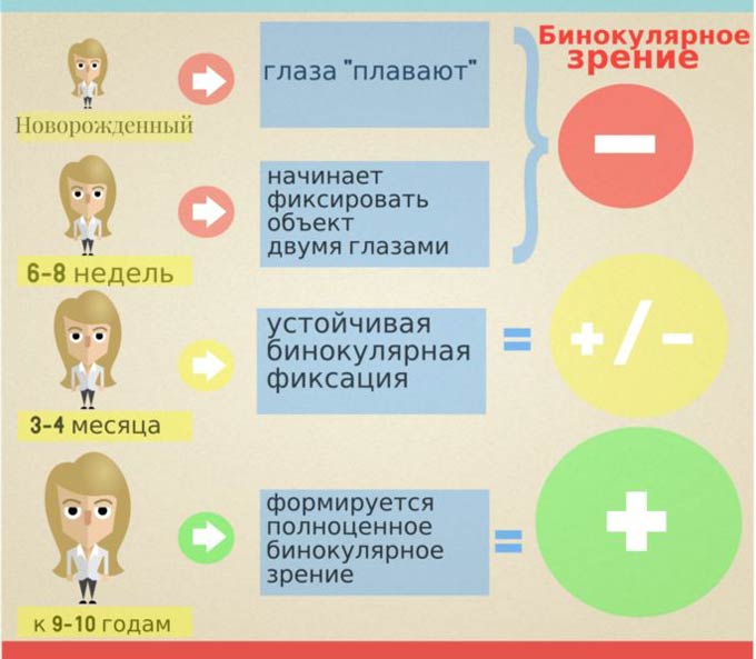 формирование бинокулярного зрения