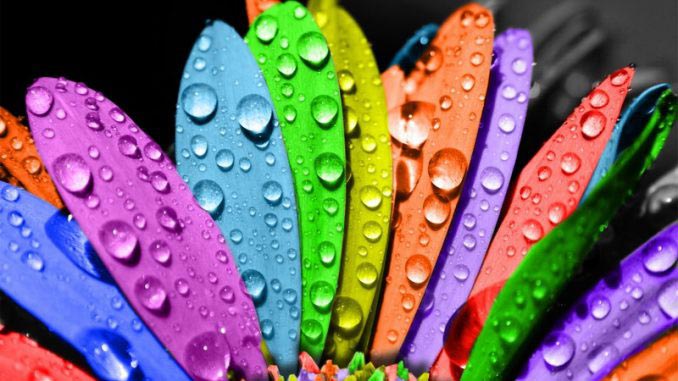 нарушение цветовосприятия