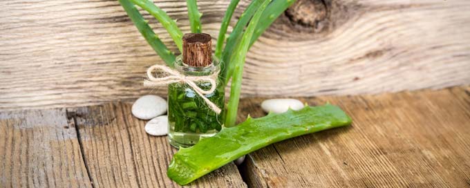 алоэ от конъюнктивита