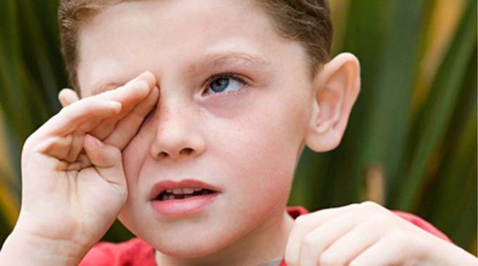 градина на веке