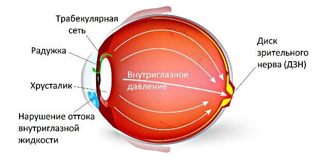 внутриглазное давление