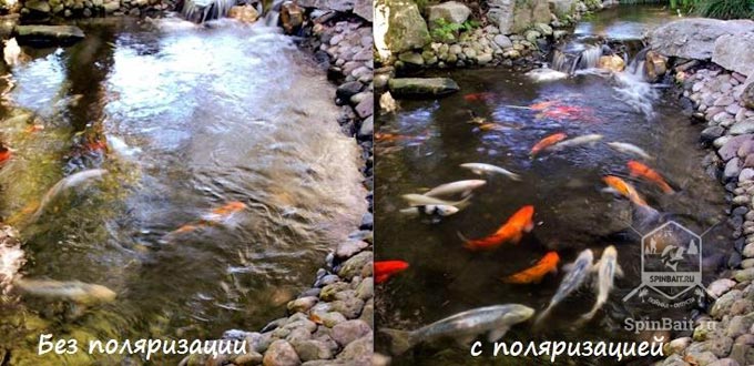 очки с поляризацией