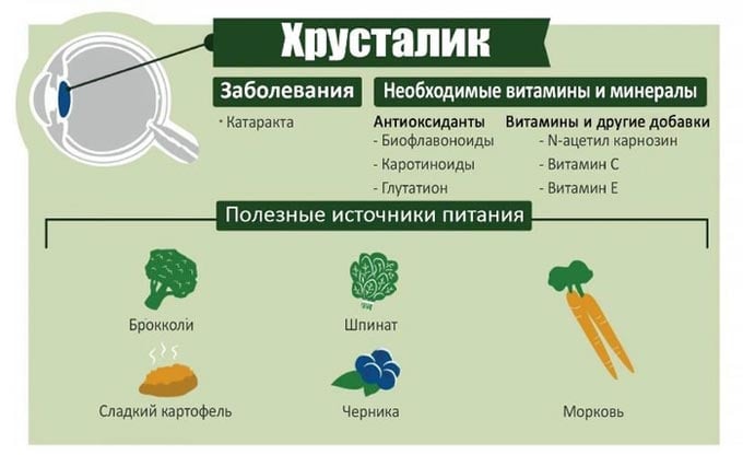полезные продукты для зрения