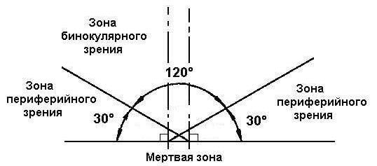 зона бинокулярного зрения