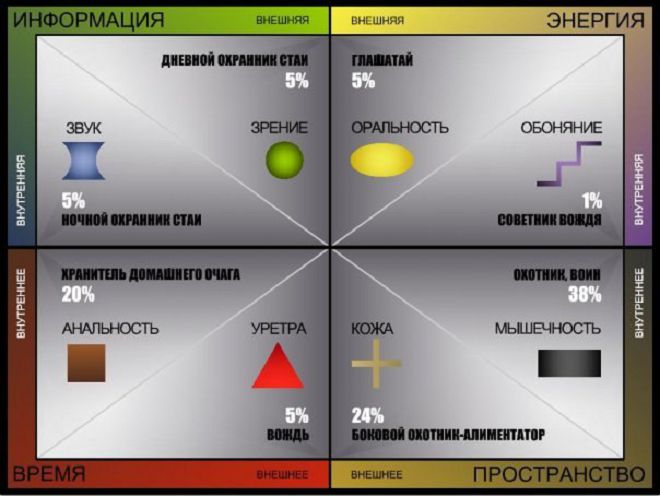 анальный вектор