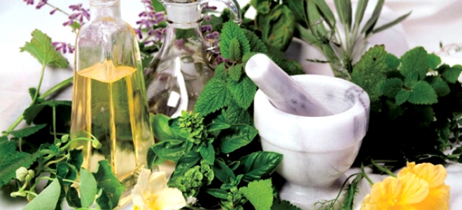 домашние шампуни для роста волос