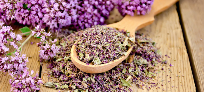 душица от кашля