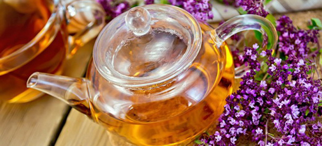 душица при климаксе и приливах