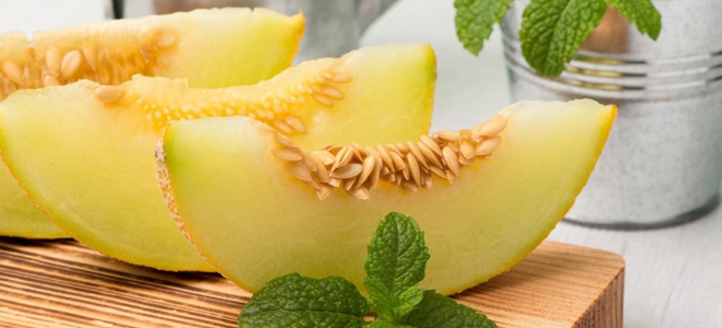 дыня химический состав