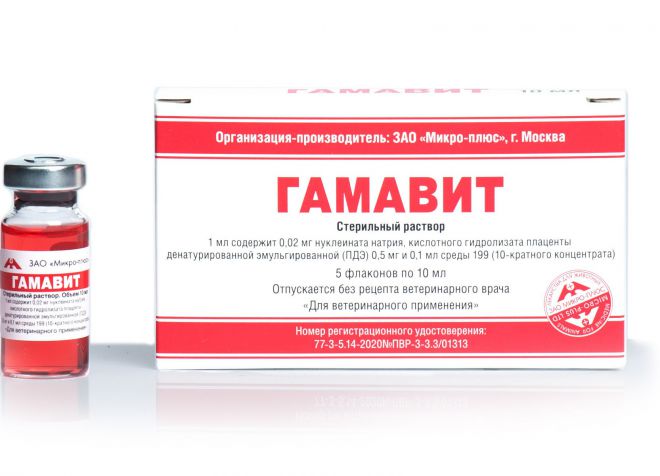 гамавит при демодекоза у собак гамавит при демодекоза у собак