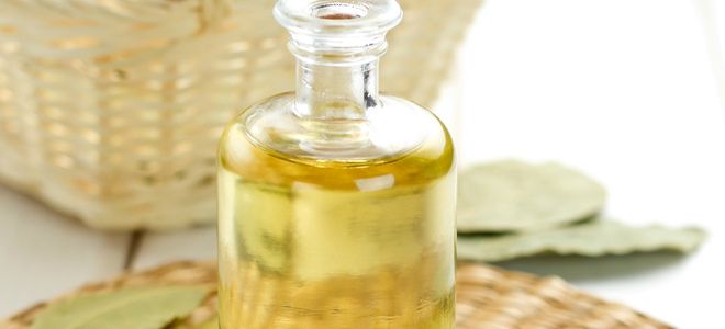 лавровый лист для лица лавровый лист для лица