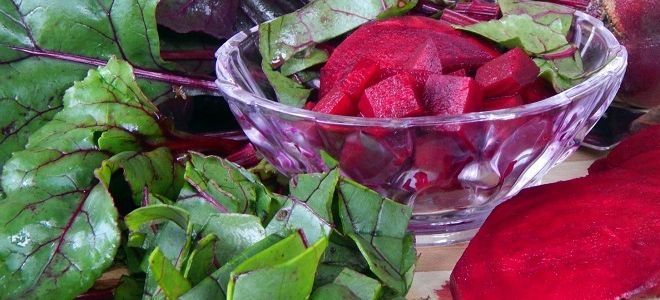 маринованные листья свеклы маринованные листья свеклы