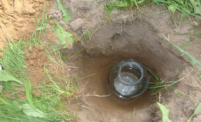 поймать в банку поймать в банку