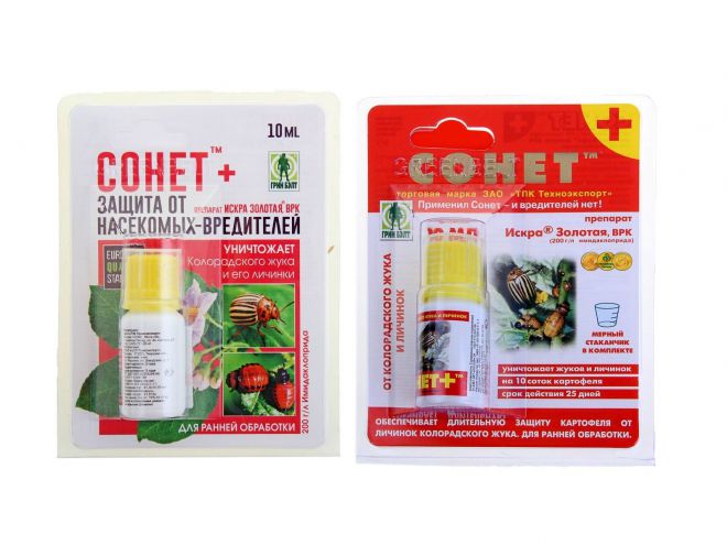 Сонет от колорадского жука Сонет от колорадского жука